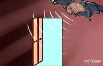 Hogyan lehet megszabadulni a galambok