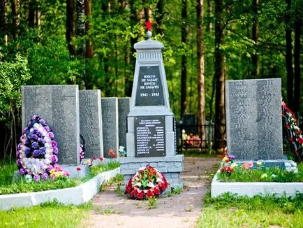 Milyen virágok a növény a temetőben, a leírás és fotó (amely) Milyen virágok a növény a temetőben, a leírás és fotó