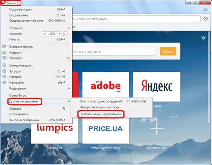 Hogyan kell beállítani a plugins opera