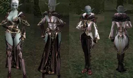 Hogyan ruha a karakter a Lineage 2