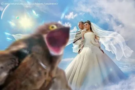 Hogy, hogy nem lő az esküvő