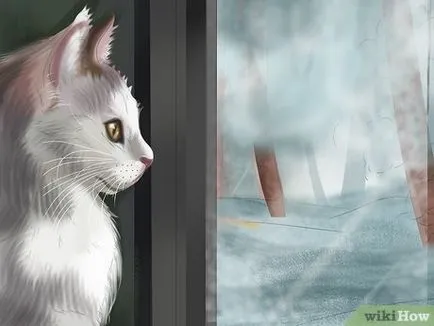 Hogyan határozzák meg, hogy a macska a depresszió