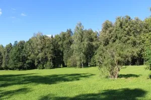 Hogyan adja fel a föld uchastkaadvokat Zhmurko Svetlana Evgenevna ügyvéd Zhmurko Svetlana (állandó örökös használatra) Hogyan adja fel a föld uchastkaadvokat Zhmurko Svetlana Evgenevna ügyvéd Zhmurko Svetlana
