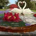 Hogyan kell festeni a kő - sziklakert, utat kőből