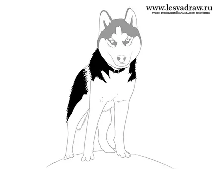 Hogyan kell felhívni a Husky szakaszában (sorsolás) Hogyan kell felhívni lépésről lépésre Husky