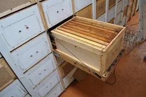 Hogyan készítsd el a saját pchelopavilon funkciók, tippek utasítások (különösen) Hogyan készítsd el a saját pchelopavilon jellemzői, ötletek, használati