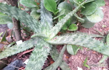 Hogyan válasszuk ki a ruházat színe
