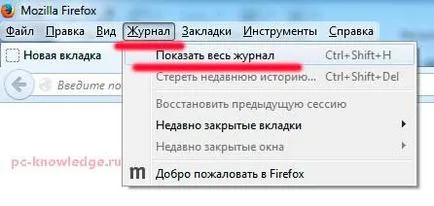 Hogyan nézheti meg a történelem meglátogatott weboldalak