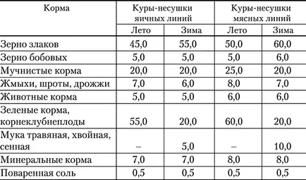 Hogyan kell helyesen és amit a takarmány tojótyúkok otthon