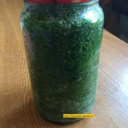 Hogyan pácolást friss kapor a pot a téli ízletes home (lé) Hogyan pácolást friss kapor a pot a téli ízletes házi