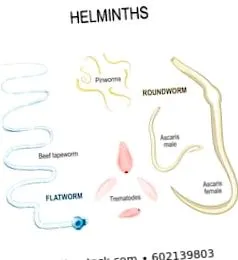 létesítmények