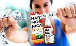 harmonica