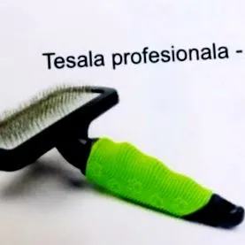 vizeletellátás vizeletellátás