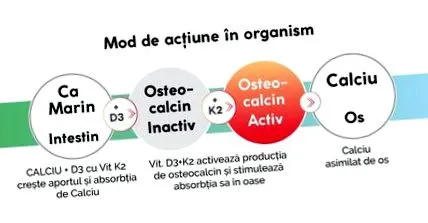 extraktov