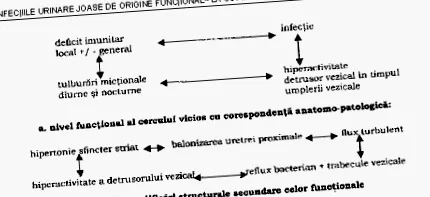 anális repedés