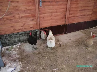 Hogyan készítsünk egy ajtó