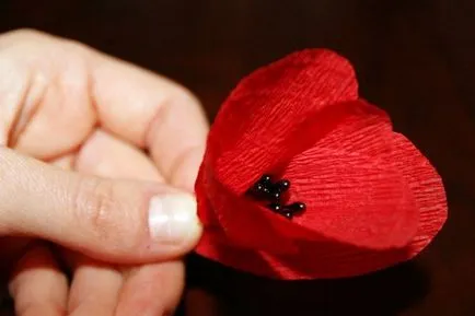 Hogyan lehet papír virágok saját kezét a szegfű a pipacsok