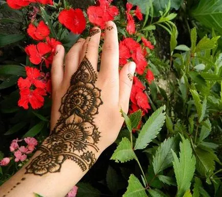 Hogyan készítsünk egy henna tetoválás otthon (feltételek) Hogyan készítsünk egy henna tetoválás otthon