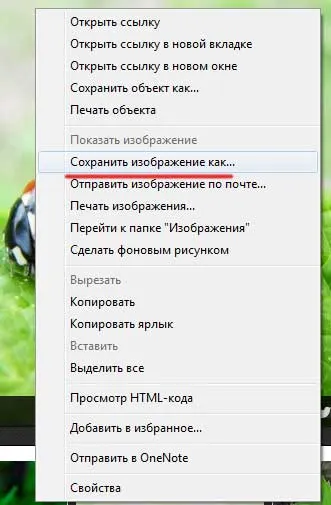 Hogyan lehet menteni a képet az interneten
