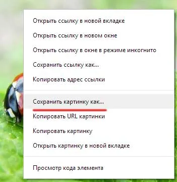 Hogyan lehet menteni a képet az interneten