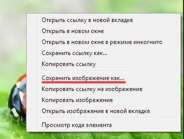 Hogyan lehet menteni a képet az interneten