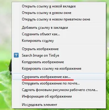 Hogyan lehet menteni a képet az interneten