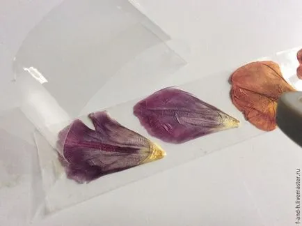 Hogyan készítsünk saját kezűleg „jelvény” tárolására szárított virágok - Fair Masters - kézzel készített, (jelvények) Hogyan készítsünk saját kezűleg „jelvény” tárolására szárított virágok - Fair Masters - kézzel készített,