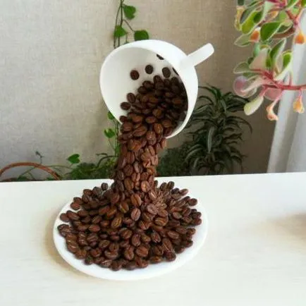 Hogyan lehet díszíteni a konyhában kezével tippek és trükkök