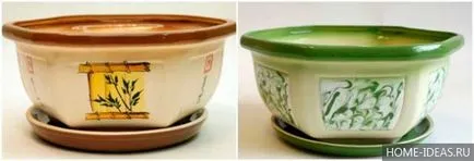 Hogyan növekszik bonsai az otthoni videó és fénykép, bonsai stílusok