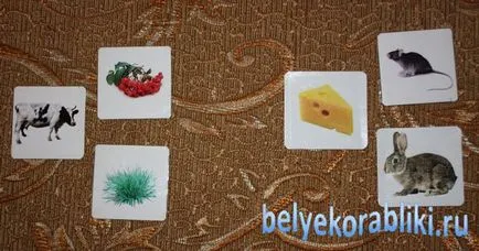 Kártyák, aki eszik és aki él, ahol