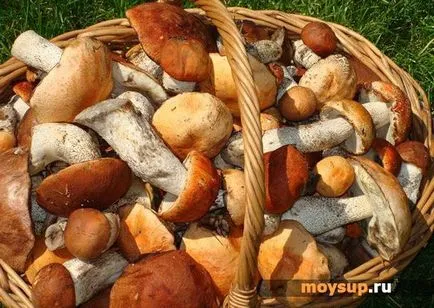 Burgonya leves gombával - lépésről lépésre recept fotók