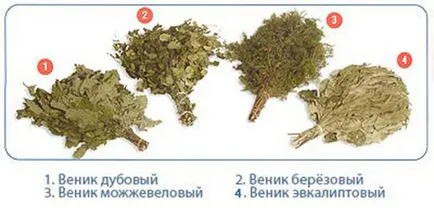 Amikor a betakarítás nyírfa ágak a fürdő (fürdő) Amennyiben a betakarítási nyírfa ágak fürdő