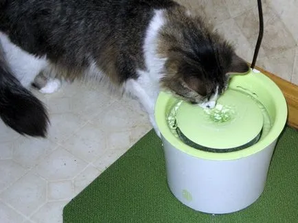 Coto high-tech kütyü a legfrissebb macskák, kutyák és cicák (CatIT tervezése Fresh Clear) Coto high-tech kütyü a legfrissebb macskák, kutyák és cicák