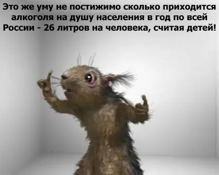 Kudyapliki és egy pokoli mókus újraéleszteni közszolgálati Magyarországon Itt adunk ragasztás reklám! (Kudyapliki) Kudyapliki és egy pokoli mókus újraéleszteni közszolgálati Magyarországon Itt adunk ragasztás reklám!