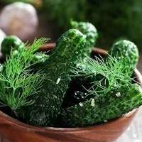 Sós uborka - receptek, hogyan kell főzni gyorsan sózott uborka (hogyan kell főzni sós uborka) Sós uborka - receptek, hogyan kell főzni gyorsan sózott uborka