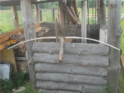 Hagymát mogyoró kezükben, minden ő