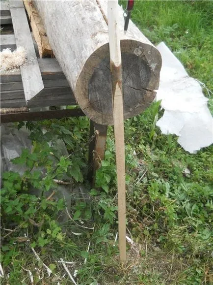 Hagymát mogyoró kezükben, minden ő