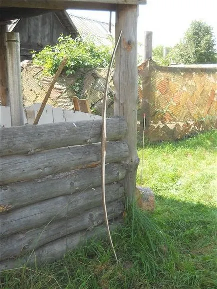 Hagymát mogyoró kezükben, minden ő