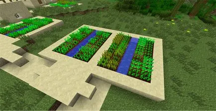 Minecraft burgonya
