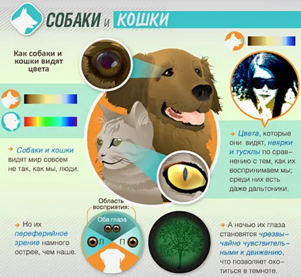 A világ szemével a különböző állatok, mint például a látás az állatok, egy online folyóirat (lásd a jobb ember) A világ szemével a különböző állatok, mint például a látás az állatok, egy online folyóirat