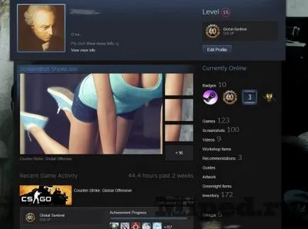 Néhány trükk a screenshotok a gőz (trükkök) Néhány trükk képekkel gőz