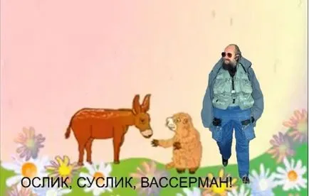 Donkey, hörcsög, Paukaa, Netlore Michael Yasnov, szamár, hörcsög Paukaa utolsó esélye, gyermek, csecsemő