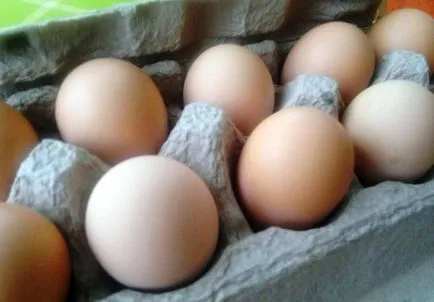 Leírás és jellemzők A Jersey óriás csirkék fajták (leírás) Leírás és jellemzők A Jersey óriás csirkék tenyészteni