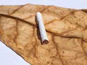 Arról, hogy hogyan kell íz cigaretta dohány otthon az interneten (dohány) Arról, hogy hogyan kell íz cigaretta dohány otthon az interneten