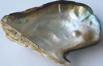 Pearl stone nagyon szép, tulajdonságai