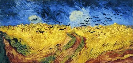 Miért Van Gogh levágta a fülét tények érdekes történetet