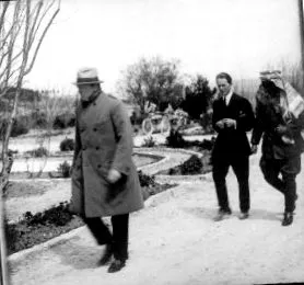 политика