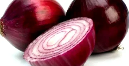 összetevő hasi