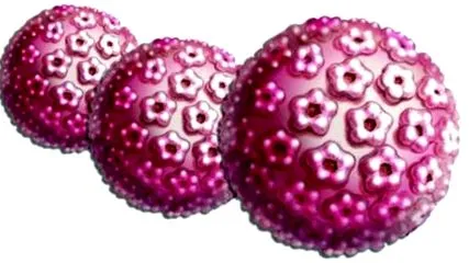 humán papilloma
