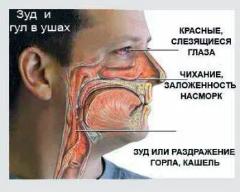 Polynosis kezelés népi jogorvoslati orr (nazális) nazális polynosis kezelés népi jogorvoslati